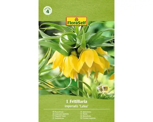 Bulb De Flori Floraself Fritillaria Imperialis Lutea 20/22 1 Buc - Economii mari
