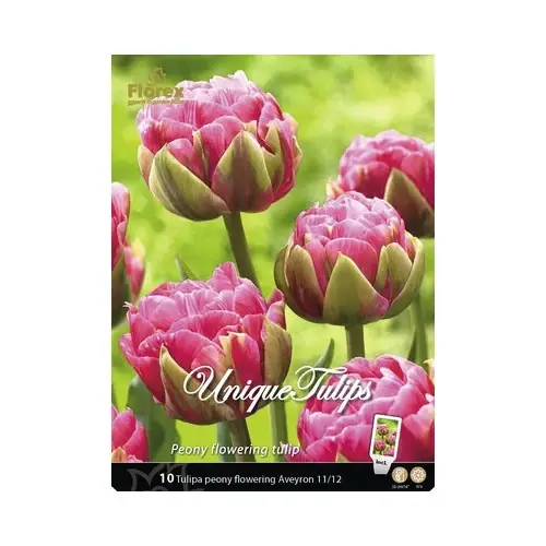 Bulbi lalea Aveyron, roz, 10 buc | Comandă rapid