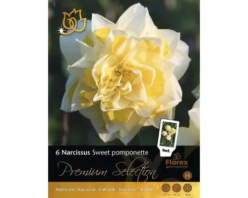 Ofertă online - Bulbi Narcise Premium Sweet Pompon 6 Buc