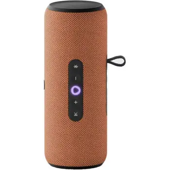 Boxă portativă Bluetooth Yandex YNDX-00030ORG Alisa Station Street Orange | Plată sigură