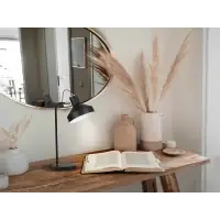 Alegerea clienților | Veioza din Metal Negru 20W L30xH50cm Irias
