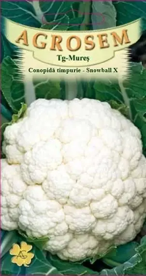 Favoritul clienților - Seminte de legume conopida timpurie Snowball