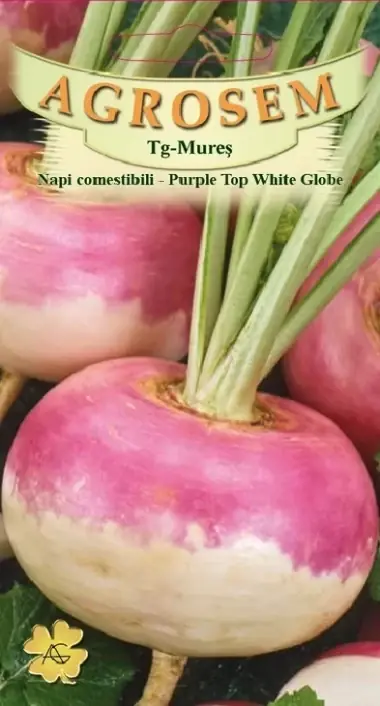 Seminte de legume napi comestibili Purple Top White Globe | Produs nou