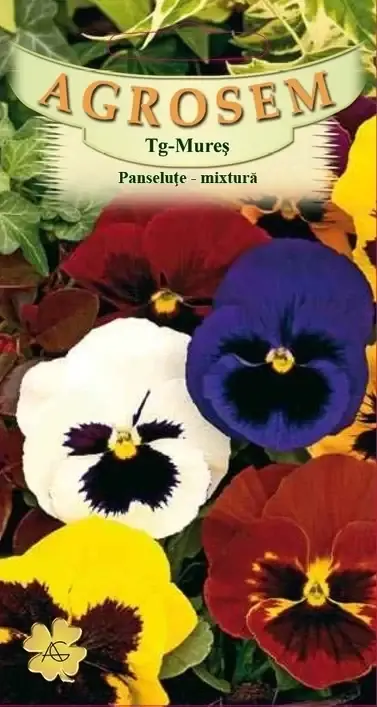 Ofertă | Seminte flori Panselute mix