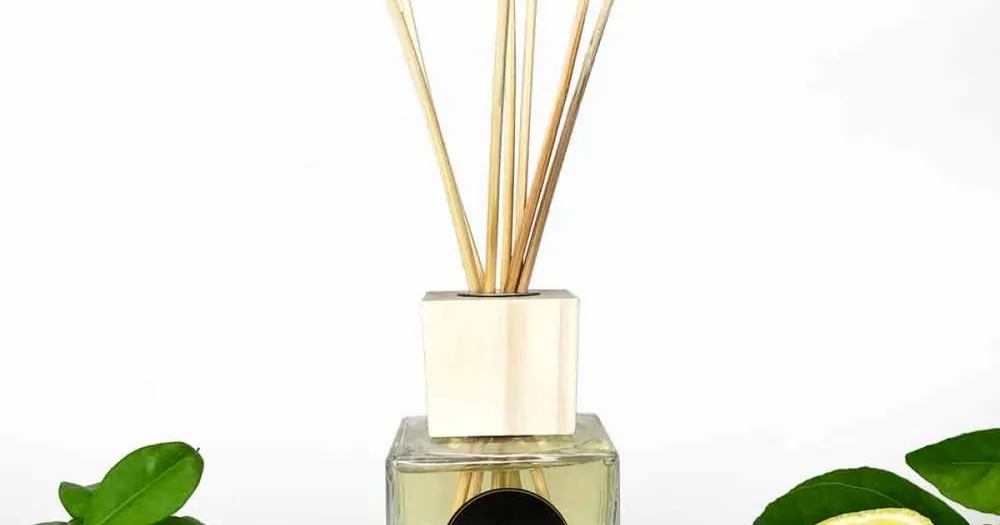 Parfum Reed Diffuser din piele 200 ml cu bețe - Lavecchiavenezia - Nu rata